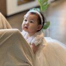 엘린하우스 | [행사후기] 돌잔치 후기 (플로렌스 위례점, 엘린하우스, 라로브드레스, 안스냅, 루미나벌룬, 더도톰)