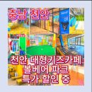 함양스포츠파크 3축구장 | 볼베어파크 천안｜천안 볼베어파크 실내놀이터, 놀이기구·보물찾기까지 가능한 키즈카페