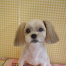 성내동물병원 이미지