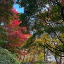 희망공원 배드민턴장 이미지