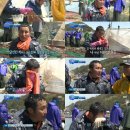 뱃고동 이미지