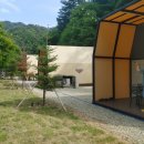 자작나무마을 이미지