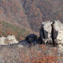 금산-38 이미지