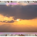 선사삼계탕 이미지