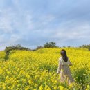 유한회사 전주자동차공업사 | (전주시 완산구) 조일시트 HK썬루프 전주지점 벤츠 w213 E카브리올레 소프트탑 교환 ___정읍 임실 김제...