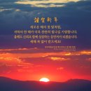 부동산댁공인중개사사무소 이미지