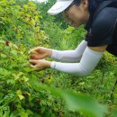 광양사랑병원 이미지