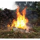 지종농장 이미지