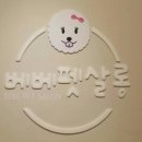 나나 펫 살롱 이미지