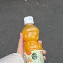 제주의계절 | 제주공항맛집 고집돌우럭 본점 제주공항점 계절한상 후기