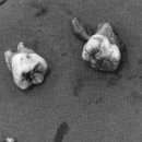 헤이사랑치과의원 이미지