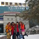 호호제주 이미지