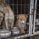 한겨레농장 이미지