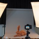 사진 기초에서 작품까지 이미지