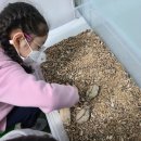 수원-0980 이미지