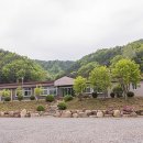 아홉사리로 이미지