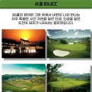 타니스테이 이미지