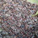 터골농장 이미지