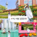 백설공주와 일곱 친구들 | 대구 이월드 튤립축제 실시간 개화상태 불꽃쇼 먹거리 할인 주차 꿀팁 주말방문 후기