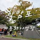 A+ 자동차정비 | [태안] 학암포자동차야영장 A~D구간 주요 구역과 편의시설 완전정복
