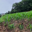 충주농업기술센터 이미지