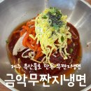 금악냉면 | [제주 금악] 제주특산물로 만든 무짠지냉면 고기완자 금악무짠지냉면
