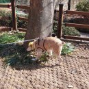 전포배수지 이미지