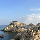 울산 이미지