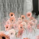 봉림초등학교 이미지