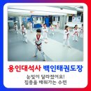 용인대석사백인태권도장 이미지