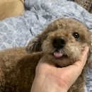 순복식당 이미지