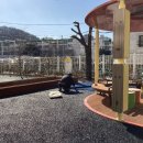 하단초등학교 이미지