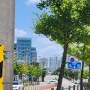 세교도서관 앞 이미지