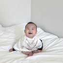 로열세탁 | 아기손수건 추천, 벨몽 뱀부코튼 로열 5종 세트 사용후기｜출산선물 추천