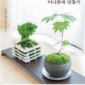 우리 집 작은 정원(홈 가드닝)만들기 이미지