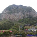 산방산온천게스트하우스 이미지