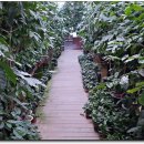 강릉커피박물관 이미지