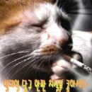 신평당구장 이미지