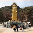 속리산 법주사 이미지