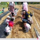 예람어린이집 이미지