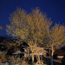 삼정농장 | 구룡포 현지인 찐맛집 “삼정농장식당” 오리불고기