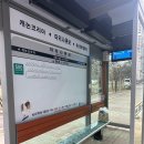 동양택시(주) | 포항 프리미엄 버스 타고 불금에 서울 고속버스터미널 뚜벅이 여행 후기