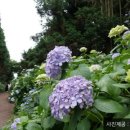 제주봄농장