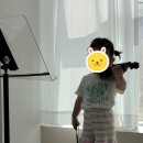 더바이올린교습소 이미지