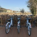 로젠모터스 이미지