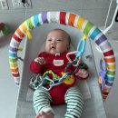 유호체육관 이미지