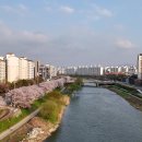 전주 하가지구 이미지