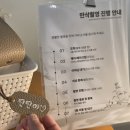 코끼리studio | 임신 33주차, 늦지 않았어! 만삭촬영 후기!