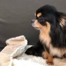 아루농장 이미지