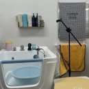 잘살개(J·DOG) | 인천 청라 | 잘살개 J.DOG 노견 강아지 마사지 스파